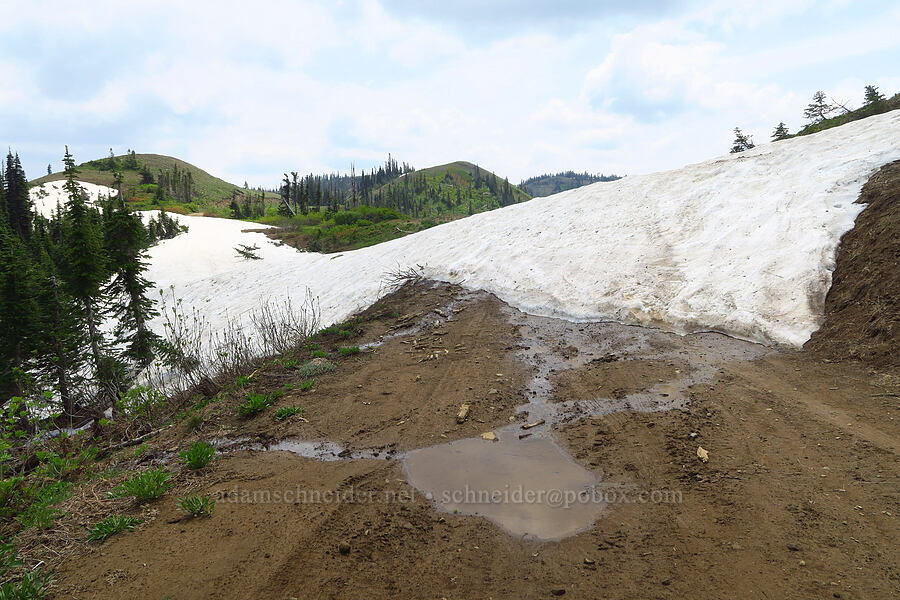 snow on the road [Kendall Skyline Road, Umatilla National Forest, Columbia County, Washington]