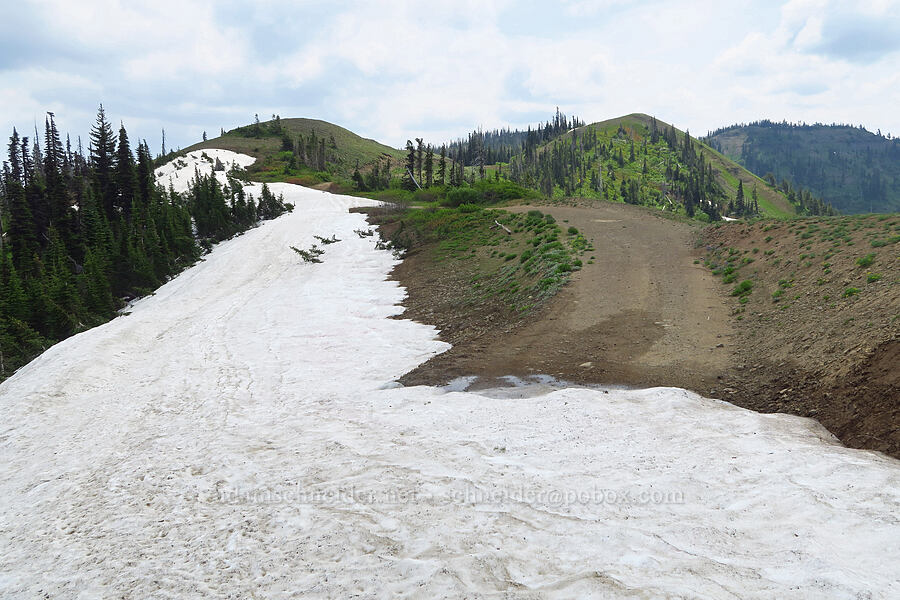 snow [Kendall Skyline Road, Umatilla National Forest, Columbia County, Washington]