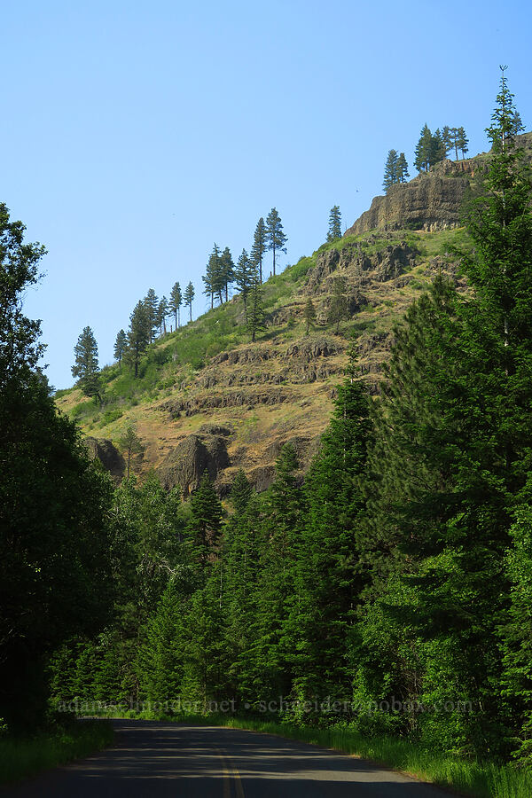 rugged foothills [North Touchet Road, Columbia County, Washington]