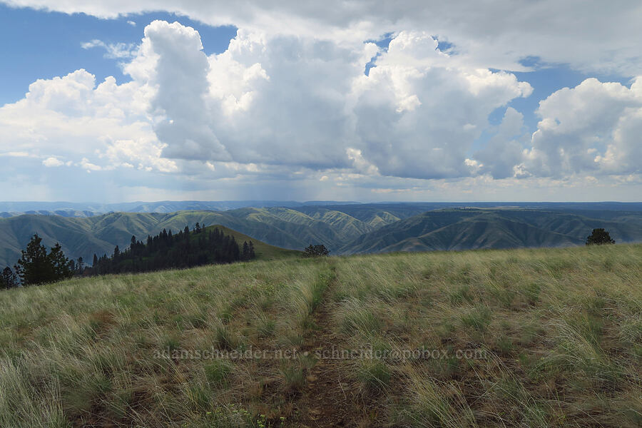 rainclouds over the Blue Mountains [Puffer Butte, Fields Spring State Park, Asotin County, Washington]