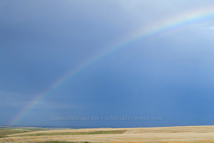 rainbow [Alpowa Summit, Garfield County, Washington]