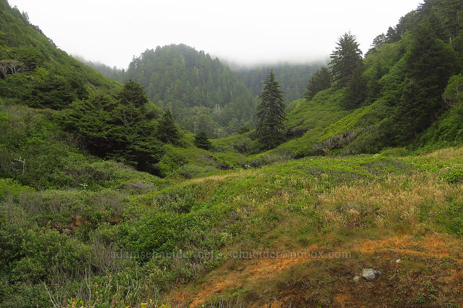 Nickel Creek Valley [Enderts Beach, Redwood National Park, Del Norte County, California]