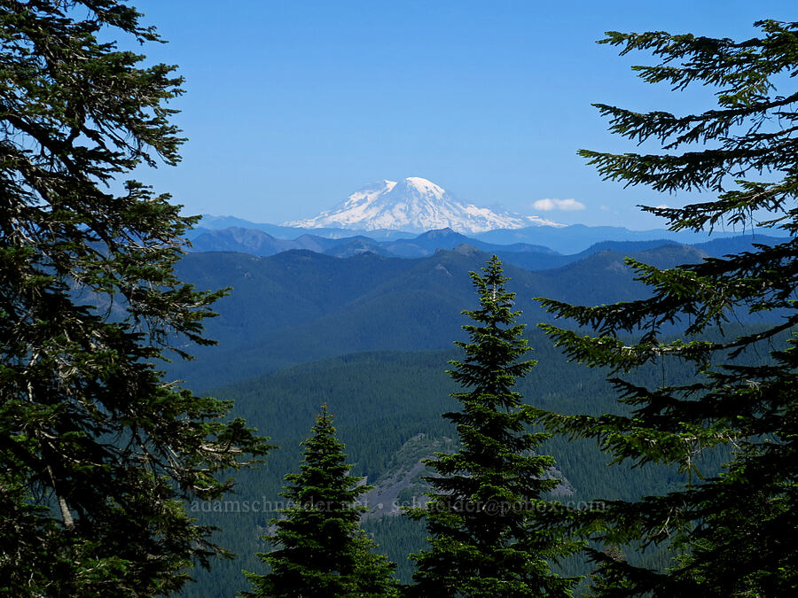 Mount Rainier [Bluff Mountain Trail, Gifford Pinchot National Forest, Skamania County, Washington]