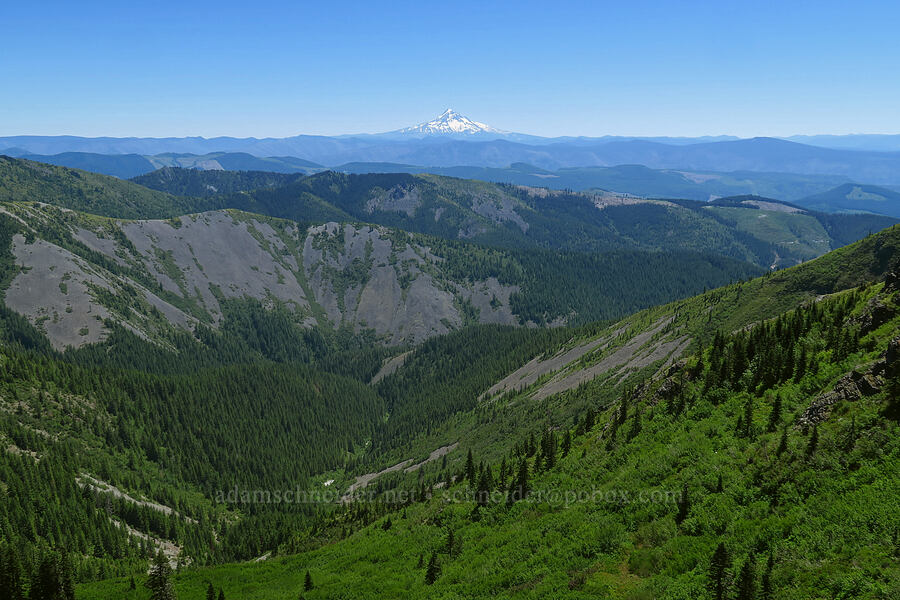 Mount Hood & the top of the West Fork Washougal River [Bluff Mountain Trail, Gifford Pinchot National Forest, Skamania County, Washington]