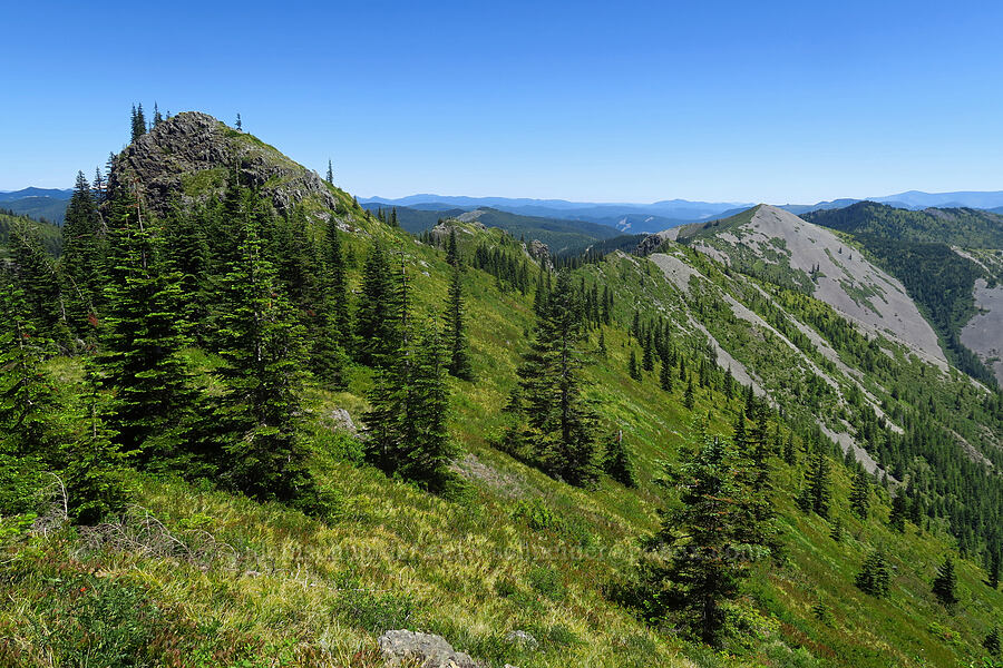 ridge leading to Little Baldy [Bluff Mountain Trail, Gifford Pinchot National Forest, Skamania County, Washington]