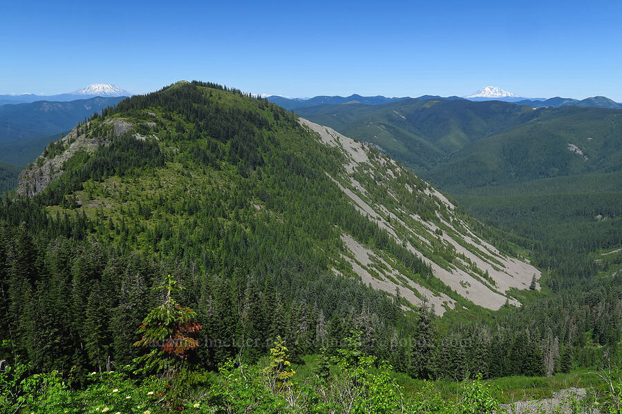 Starway Ridge, Mount St. Helens, & Mount Rainier [Bluff Mountain Trail, Gifford Pinchot National Forest, Skamania County, Washington]