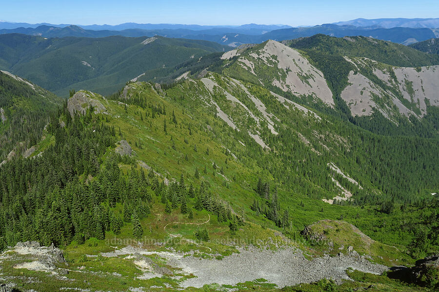 ridge leading to Little Baldy [Silver Star Mountain, Gifford Pinchot National Forest, Skamania County, Washington]