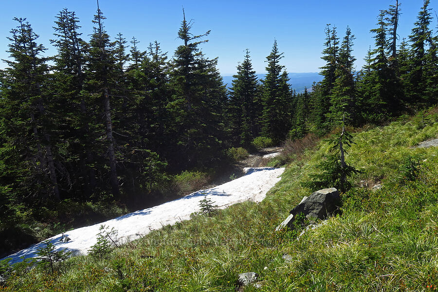 snow on the trail [Silver Star Mountain, Gifford Pinchot National Forest, Skamania County, Washington]