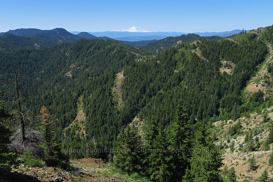 Iron Creek Basin & Mount Rainier [southwest ridge of Joker, Okanogan-Wenatchee National Forest, Kittitas County, Washington]