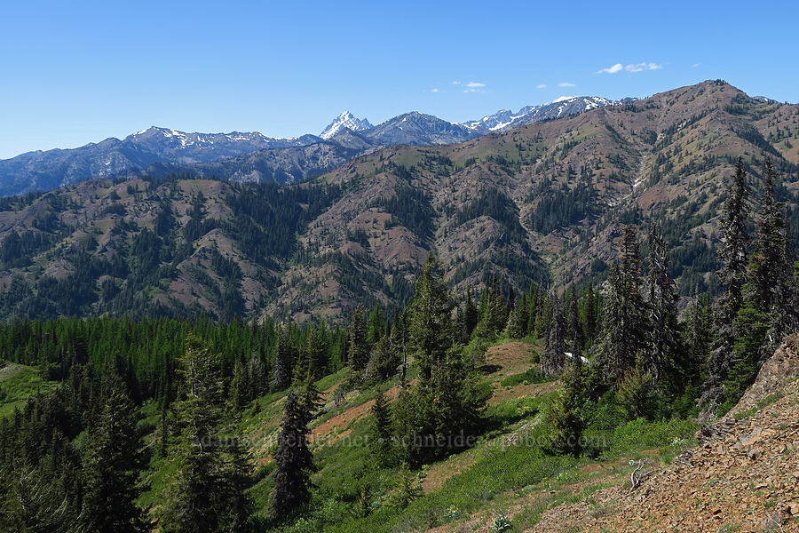 Mount Stuart & Miller Peak [Iron Bear Peak, Okanogan-Wenatchee National Forest, Kittitas County, Washington]
