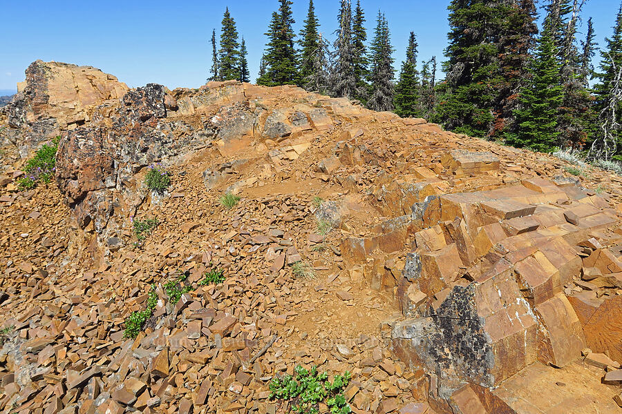 rectangular rocks [Iron Bear Peak, Okanogan-Wenatchee National Forest, Kittitas County, Washington]