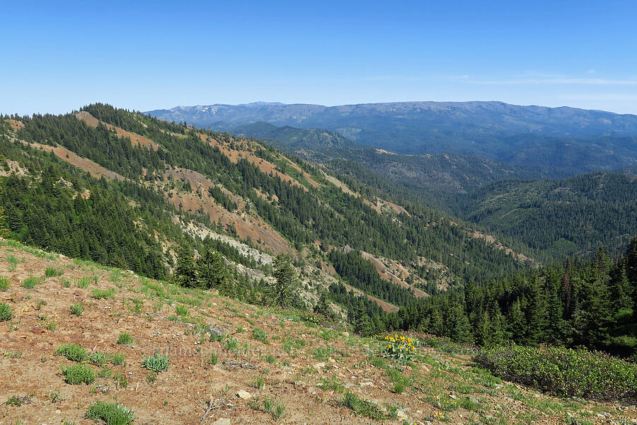 Joker & Table Mountain [Teanaway Ridge Trail, Okanogan-Wenatchee National Forest, Kittitas County, Washington]
