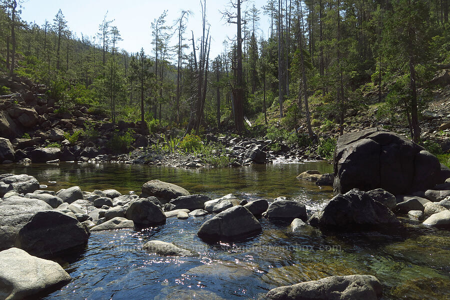 mouth of Whiskey Creek [Wimer Road, Rogue River-Siskiyou National Forest, Josephine County, Oregon]