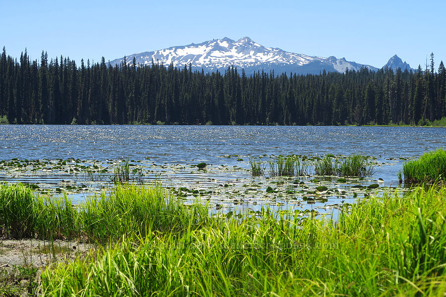 Gold Lake & Diamond Peak [Gold Lake Bog Research Natural Area, Willamette National Forest, Lane County, Oregon]