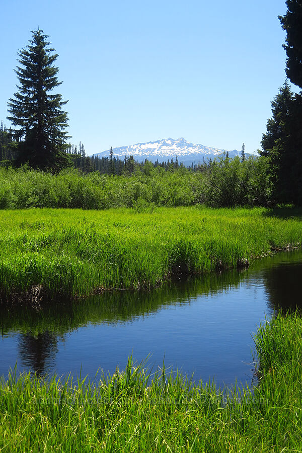 Salt Creek & Diamond Peak [Gold Lake Bog Research Natural Area, Willamette National Forest, Lane County, Oregon]