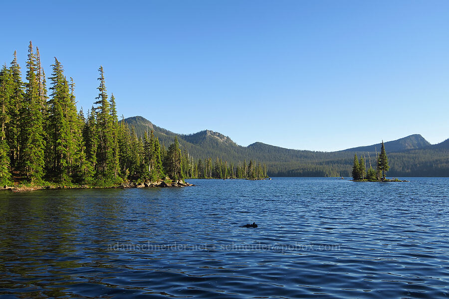 Waldo Lake [Waldo Lake Shoreline Trail, Willamette National Forest, Lane County, Oregon]