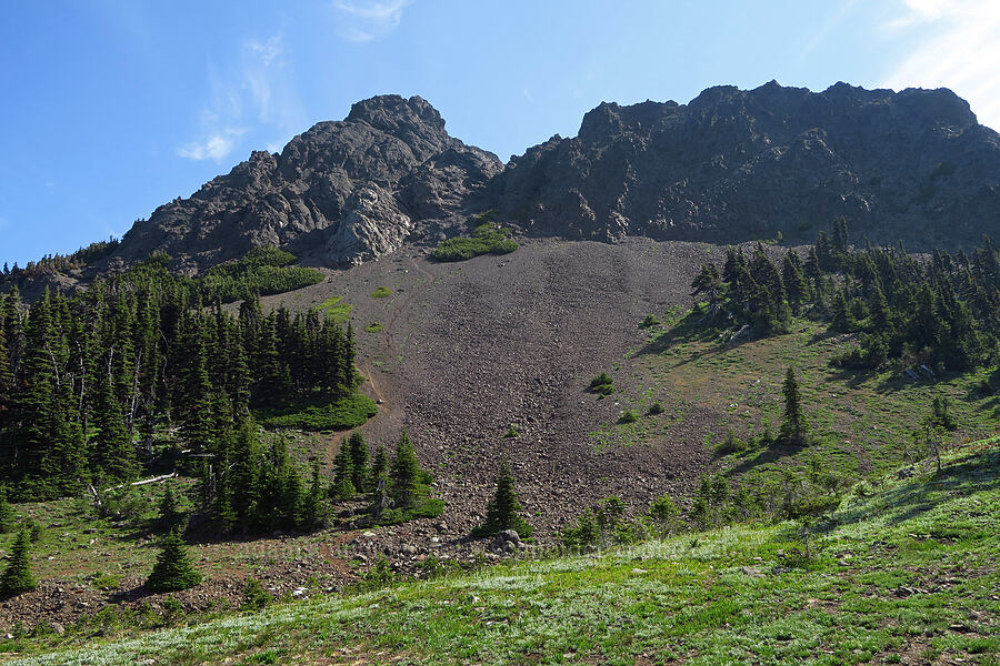 Mount Angeles' summit [Mount Angeles summit trail, Olympic National Park, Clallam County, Washington]