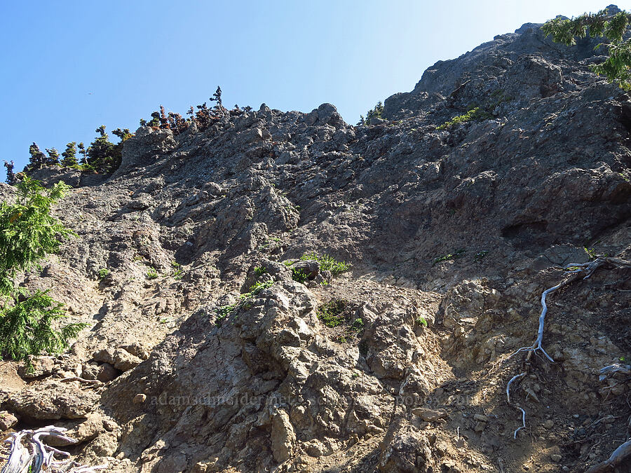 scramble route [Mount Angeles summit trail, Olympic National Park, Clallam County, Washington]