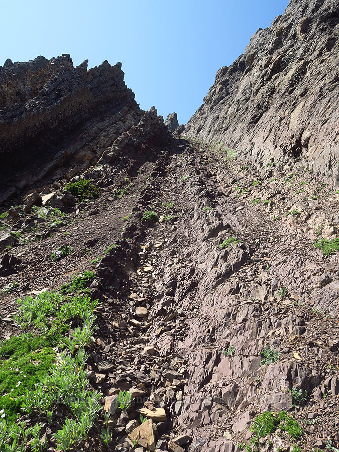 rock/scree chute [Mount Angeles, Olympic National Park, Clallam County, Washington]