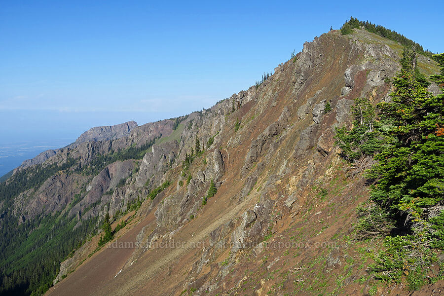 Klahhane Ridge [Klahhane Ridge Trail, Olympic National Park, Clallam County, Washington]