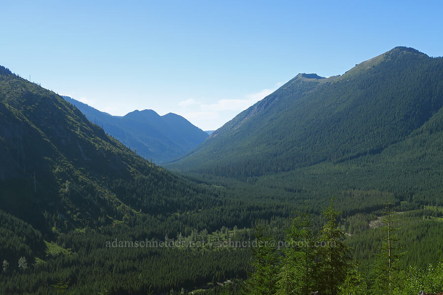 Green River Valley & Goat Mountain [Forest Road 26, Gifford Pinchot National Forest, Skamania County, Washington]