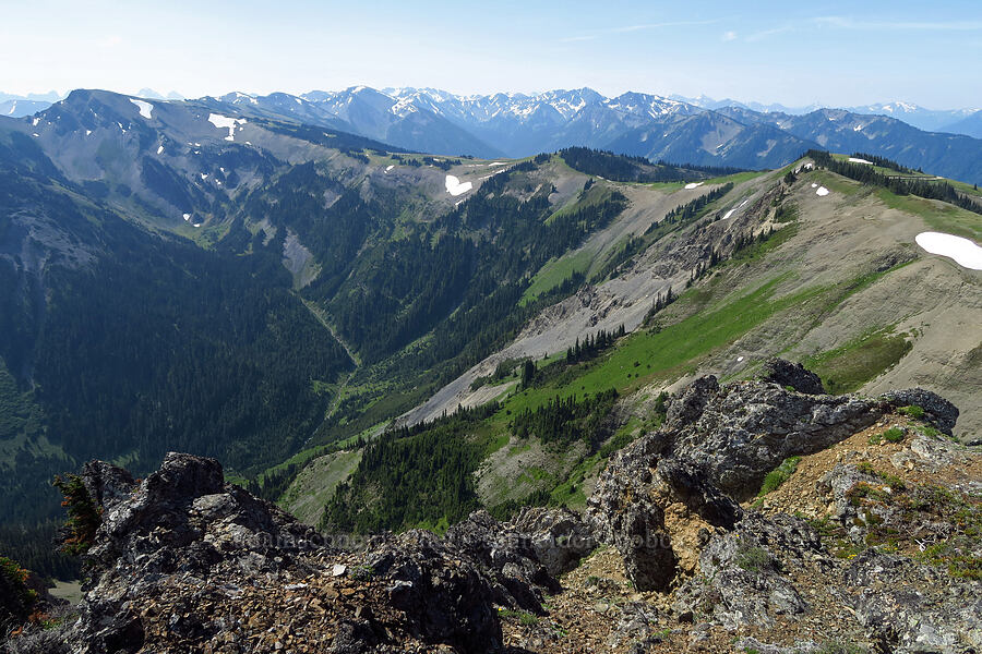 eastern Olympic Mountains [Eagle Point, Olympic National Park, Clallam County, Washington]