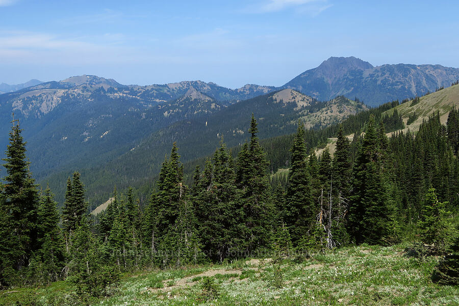 Hurricane Ridge & Mount Angeles [Obstruction Point Road, Olympic National Park, Clallam County, Washington]