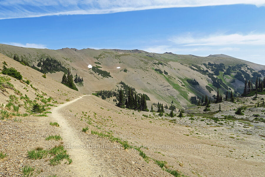 Elk Mountain [Obstruction Point-Deer Park Trail, Olympic National Park, Clallam County, Washington]