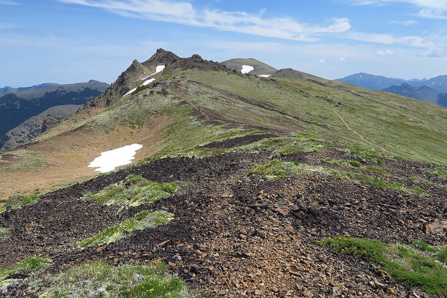 Elk Mountain [Elk Mountain, Olympic National Park, Clallam County, Washington]