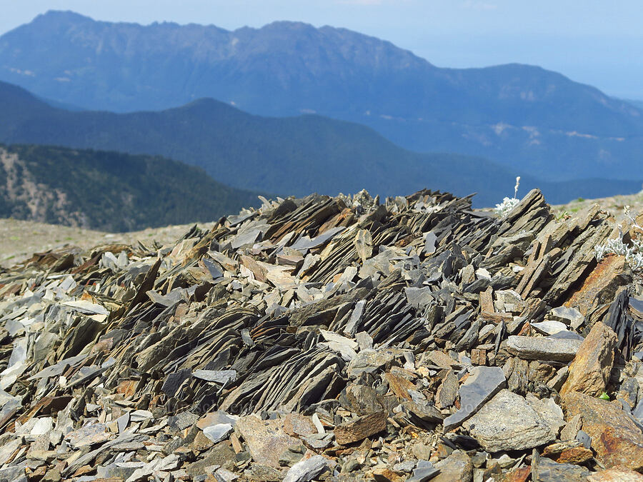 broken rock [Elk Mountain, Olympic National Park, Clallam County, Washington]