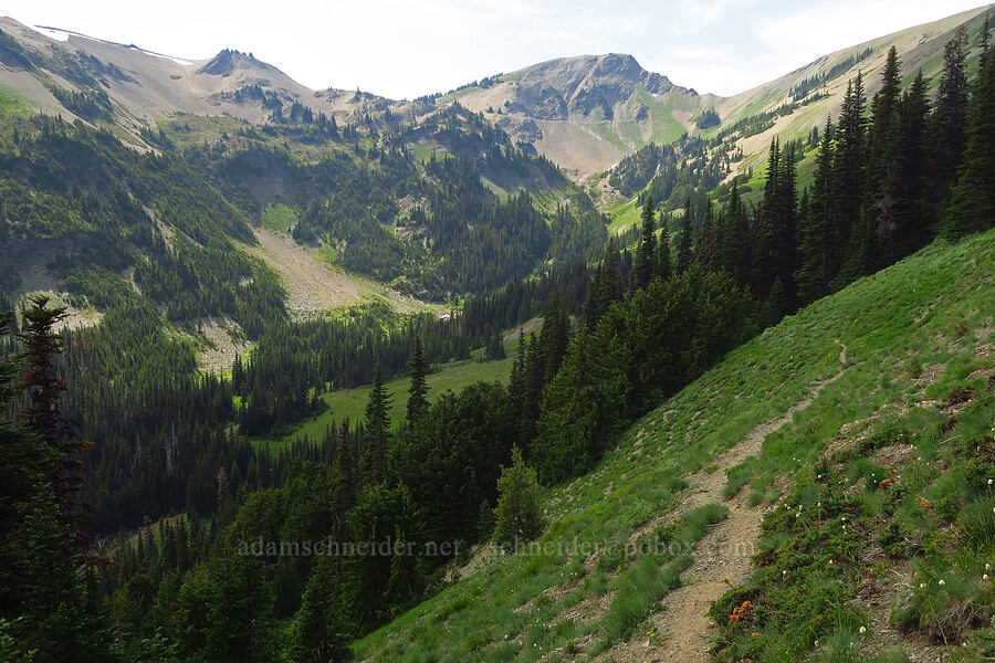 Badger Valley & Obstruction Peak [Elk Mountain Trail, Olympic National Park, Clallam County, Washington]