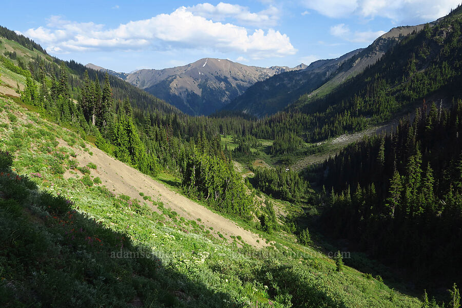 Peak 6547 & Badger Valley [Badger Valley Trail, Olympic National Park, Clallam County, Washington]