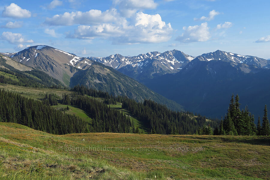 mountains above the Lillian River [Obstruction Point Road, Olympic National Park, Clallam County, Washington]