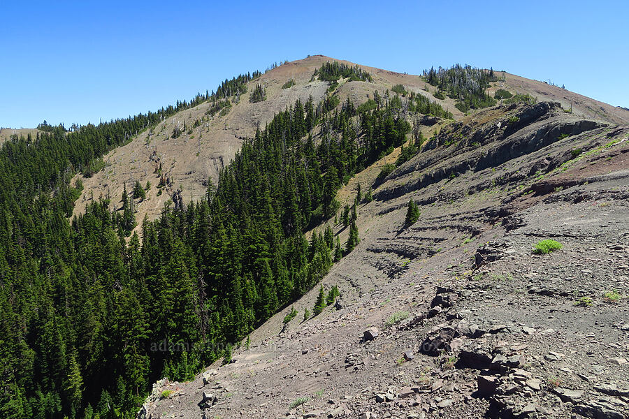 rocky ridge & Burnt Mountain [Ironstone Mountain Trail, William O. Douglas Wilderness, Yakima County, Washington]