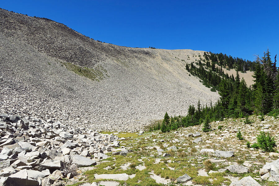 east side of Shellrock Peak [Shellrock Peak Trail, William O. Douglas Wilderness, Yakima County, Washington]