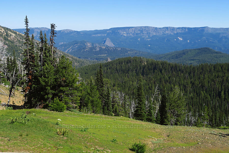 Divide Ridge [Ironstone Mountain Trail, William O. Douglas Wilderness, Yakima County, Washington]