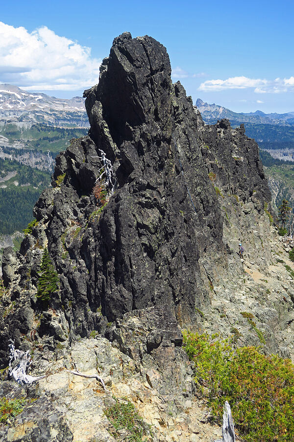 northeast ridge of The Castle [The Castle, Mount Rainier National Park, Lewis County, Washington]
