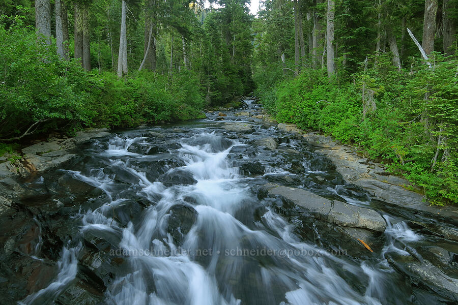 Paradise River [Narada Falls Trail, Mount Rainier National Park, Lewis County, Washington]
