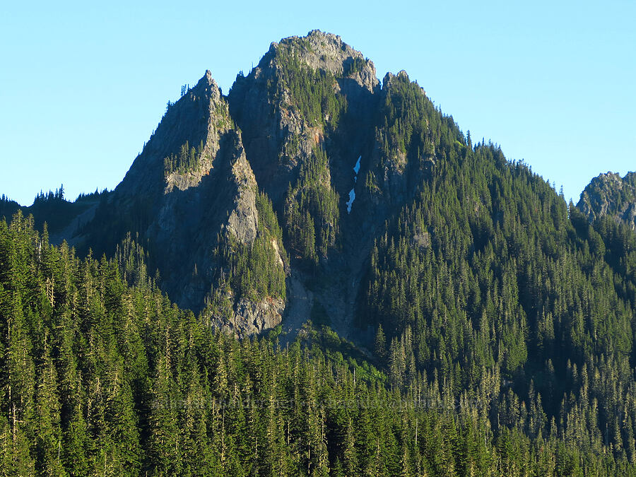 Lane Peak [Narada Falls Viewpoint, Mount Rainier National Park, Lewis County, Washington]