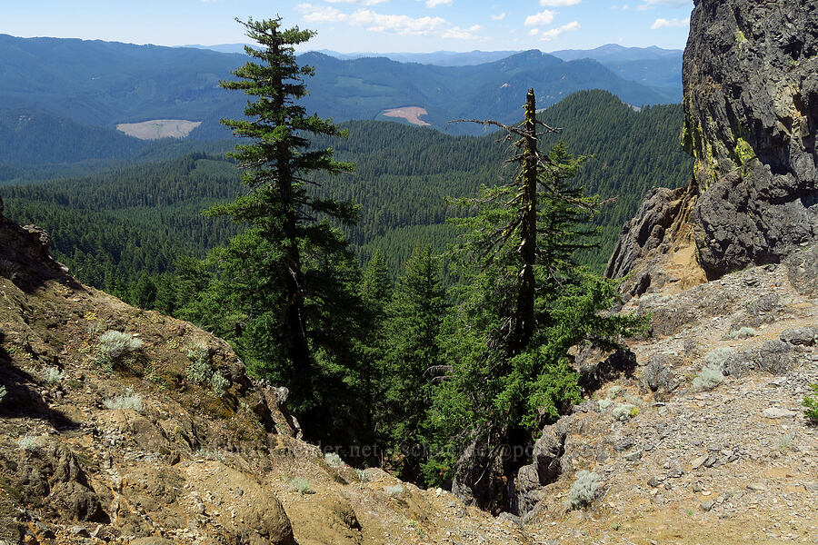 view from Youngs Rock [Youngs Rock, Willamette National Forest, Lane County, Oregon]