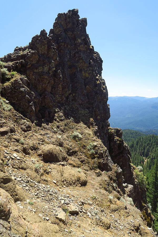 crags on Youngs Rock [Youngs Rock, Willamette National Forest, Lane County, Oregon]