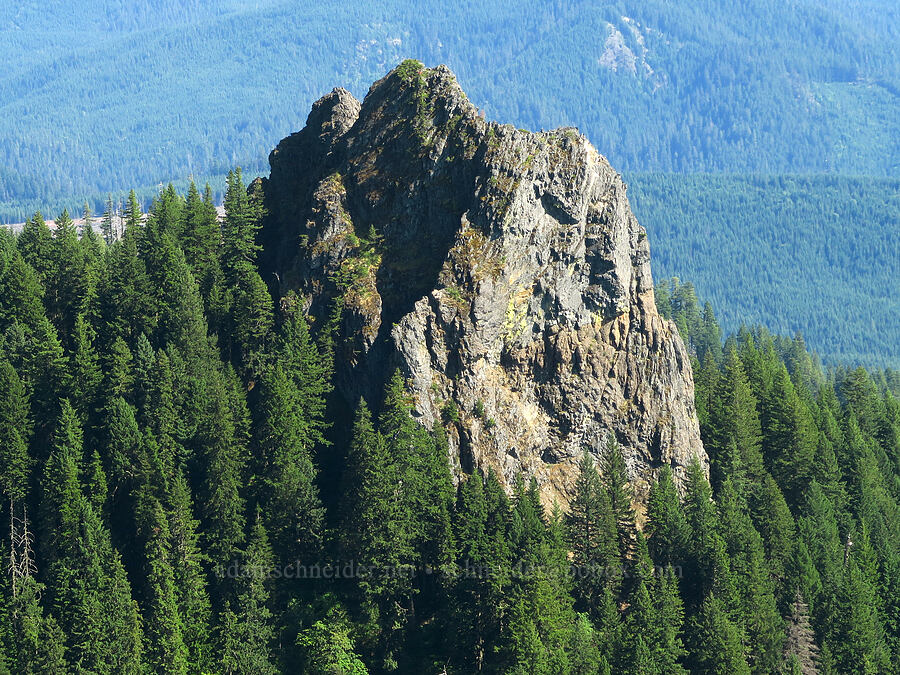 Youngs Rock [Moon Point, Willamette National Forest, Lane County, Oregon]