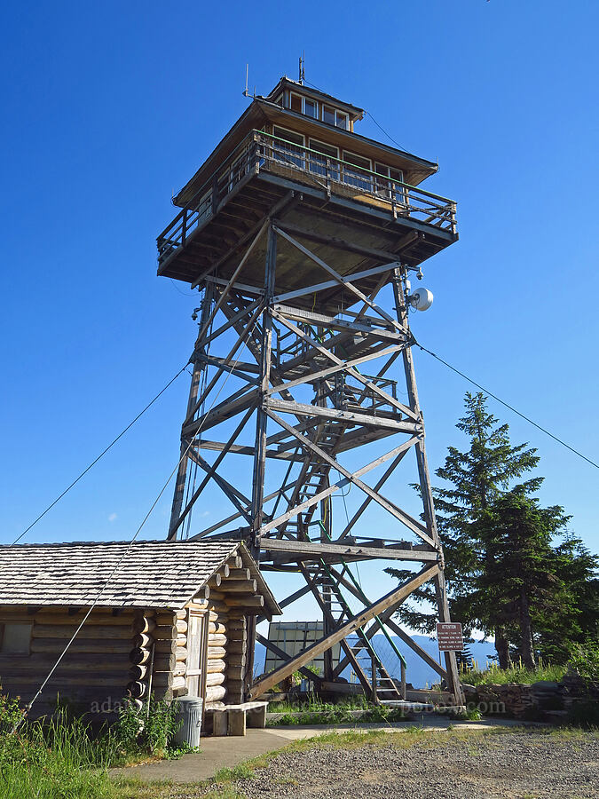 Warner Mountain Lookout [Warner Mountain, Willamette National Forest, Lane County, Oregon]