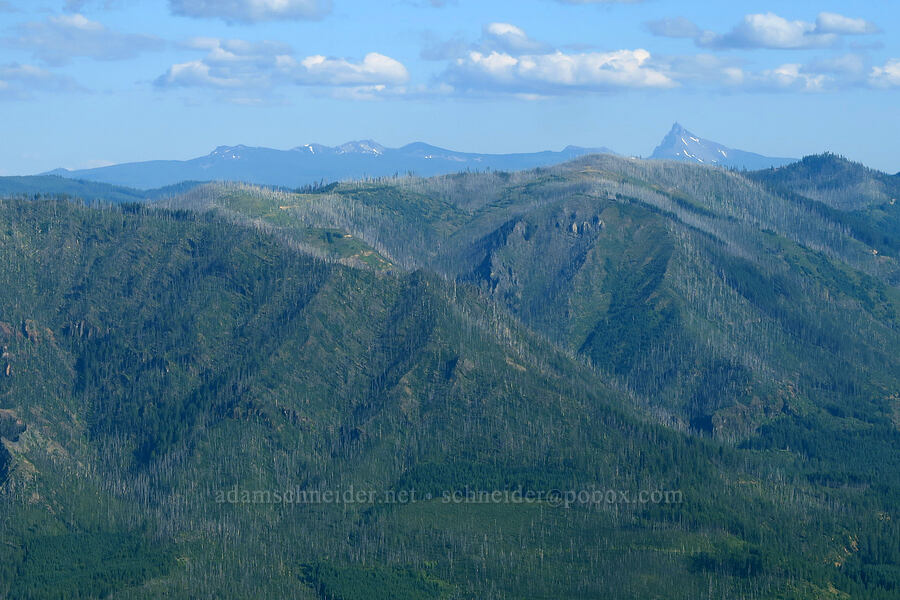 Howlock Mountain & Mount Thielsen [Warner Mountain, Willamette National Forest, Lane County, Oregon]