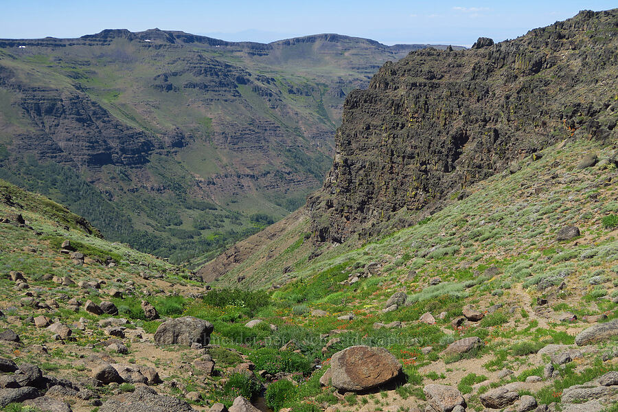 Big Indian Canyon [Big Indian Headwall Trail, Steens Mountain, Harney County, Oregon]