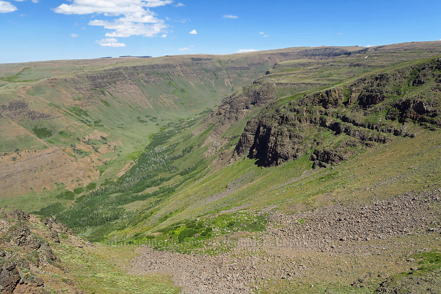 Little Blitzen Gorge [South Loop Road, Steens Mountain, Harney County, Oregon]