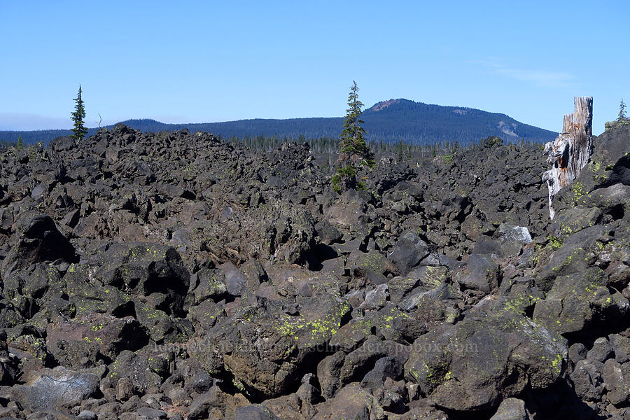 lava & Scott Mountain [McKenzie Pass, Willamette National Forest, Deschutes County, Oregon]