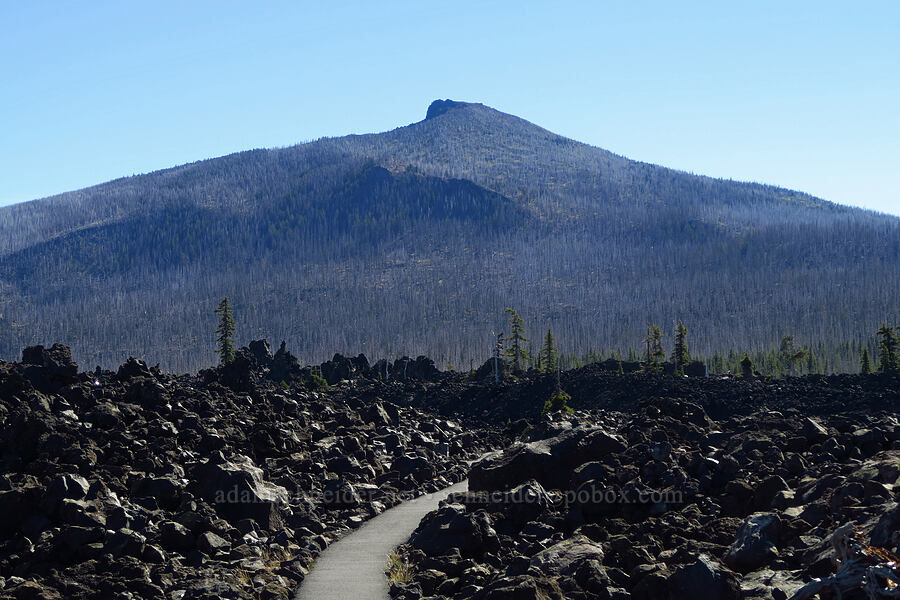 Black Crater & lava [McKenzie Pass, Willamette National Forest, Deschutes County, Oregon]