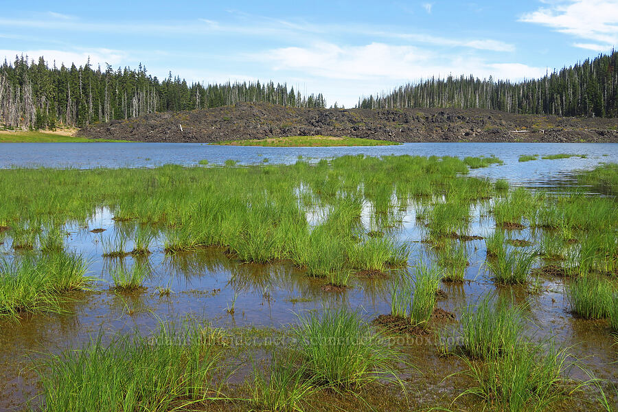 Hand Lake [Hand Lake, Mt. Washington Wilderness, Lane County, Oregon]