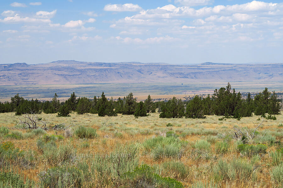 Blitzen Valley & Jackass Mountain [North Loop Road, Steens Mountain, Harney County, Oregon]